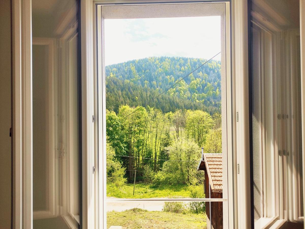 ⁂⁂ Le Chamois Appartement Cledicihome / Magnifique Vue Sur Les Montagnes / 4 Kms De Gerardmer ! ⁂⁂ Rochesson Exterior foto